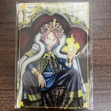페어리 테일 FAIRYTAIL 20주년 아크릴 미니 패널 나츠