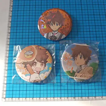 가정교사 히트맨 REBORN! 사와다 츠나요시 캔뱃지 묶음 판매