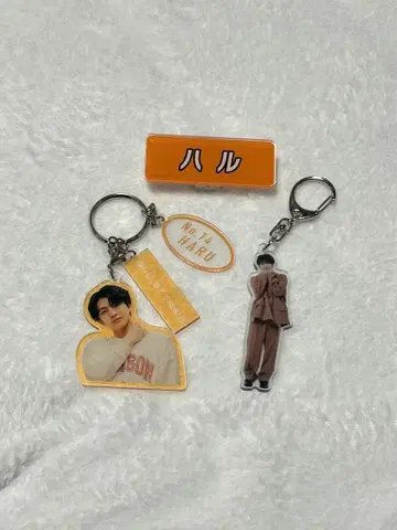 초특급 하루 아크릴 키링, 명찰