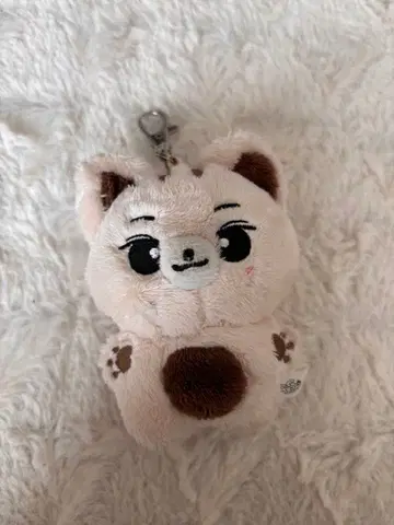 정원 봉제 인형 10cm 인형 ENHYPEN