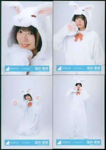 히나타자카46 2025년 랜덤 브로마이드 사카이 니이나 동물 인형옷 컴프