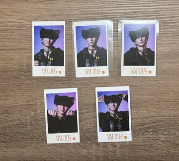 초특급 하루 미니 사진 컴프 NINE LIVES