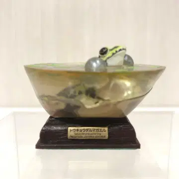 네이처 테크니컬러 도쿄 무당개구리