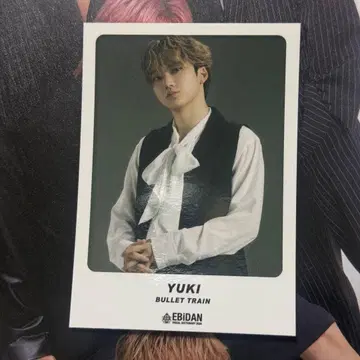 EBiDAN 비주얼 사전 초특급 유키 스티커