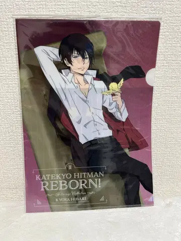 가정교사 히트맨 REBORN! 편안한 컬렉션 파일 히바리 쿄야