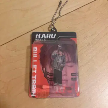 초특급 블리스터 키링 하루