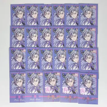 니지산지 후와 미나토 폴라로이드 준브라이드 레어