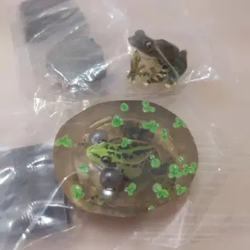 네이처 테크니컬러 일본 개구리 특장판 카지카 개구리 도쿄 달마 개구리