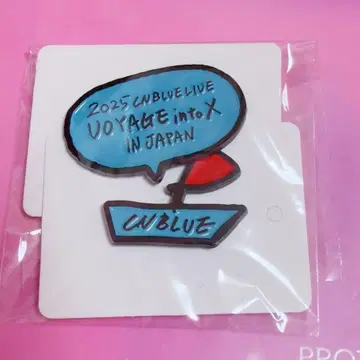 CNBLUE VOYAGE intoXin JAPAN 핀 배지 민혁