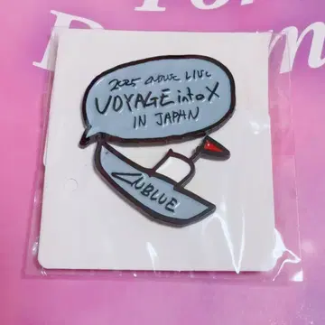 CNBLUE VOYAGE intoXin JAPAN 핀 배지 종신