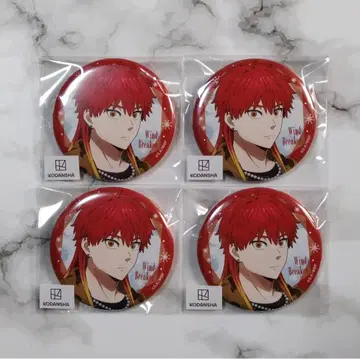 WIND BREAKER 겨울 의상 캔뱃지 타키시야