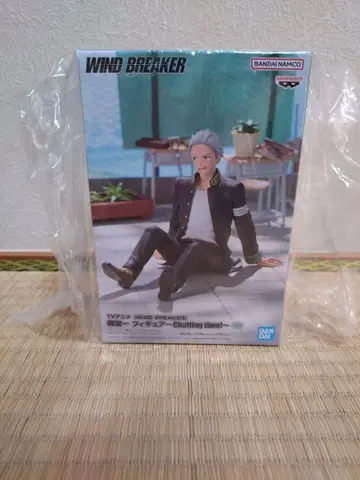 WIND BREAKER 우메미야 잇치 피규어 Chatting time!
