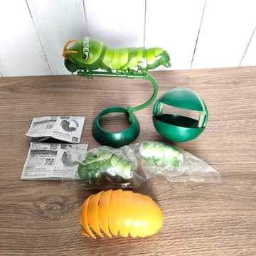 생물 도감 호랑나비 애벌레 공벌레