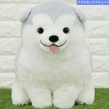 알래스칸 말라뮤트 강아지