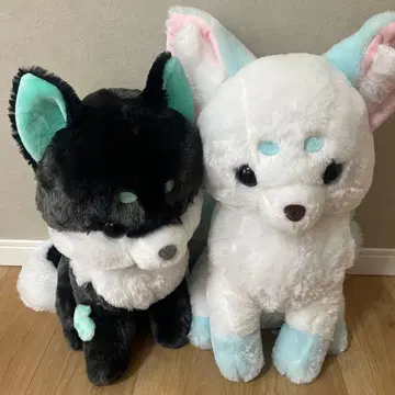 쵸콘견 큐비님 봉제 인형 SILK HAT 한정판