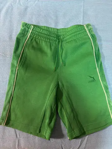 Puma Big Sean 그린 숏팬츠