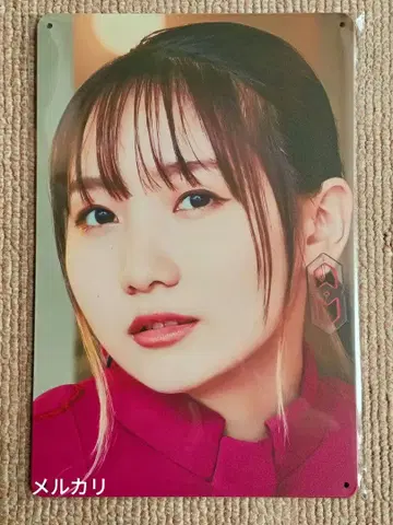 이쿠타 리라 양철 간판