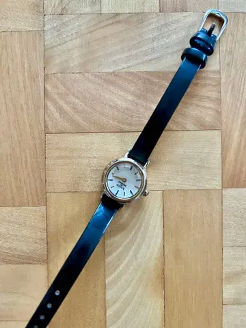 CABANE de ZUCCA 레이디 버그 블랙