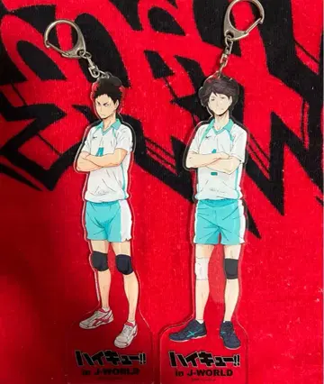 하이큐 빅 아크릴 키링 오이카와 이와이즈미