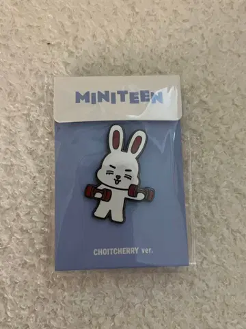 SEVENTEEN 세븐틴 미니틴 핀 배지 에스쿱스 체리체리