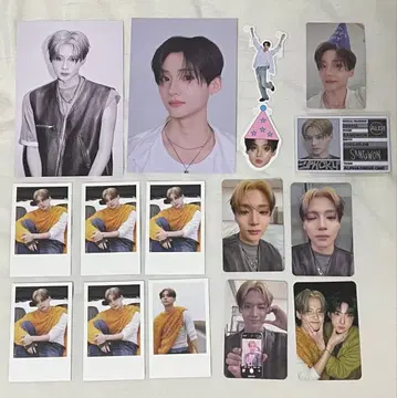 alpha drive one ald1 산원 트레이딩 카드 카드 폴라로이드