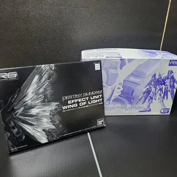 RG 1/144 데스티니 건담 [티타늄 피니쉬] 빛의 날개 세트