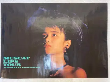 하라다 토모요 / 머스캣 립스 투어 특전 포스터