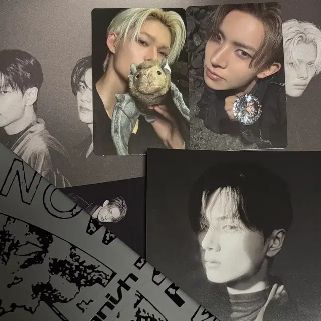 엔하이픈 일반반 앨범 풀세트 양도 니키 희승 정원 선우 제이크 제이