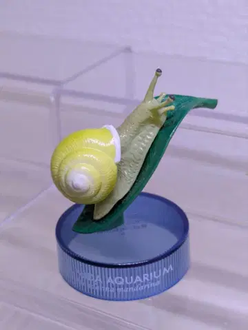 일본 수족관 입체 생물 도감 달팽이 카이요도 생물 피규어