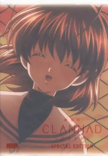 애니메이션 DVD SP 에디션 극장판 클라나드