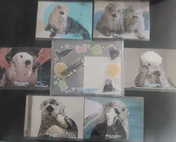 랏코의 메이짱 캡슐 복권 브로마이드 사진 프레임 키라