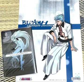 BLEACH 우르키오라&그림죠 클리어 파일 2장 세트