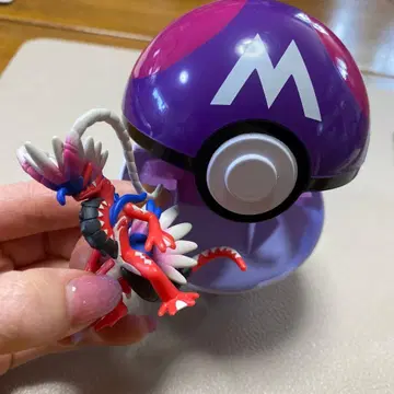 포켓토르제 코라이돈