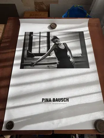 Pina Bausch 피나 바우슈 포스터 1