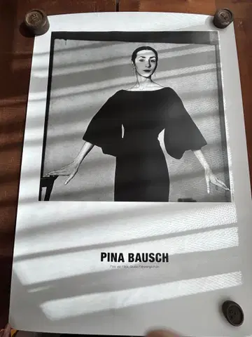 Pina Bausch 피나 바우슈 포스터 2