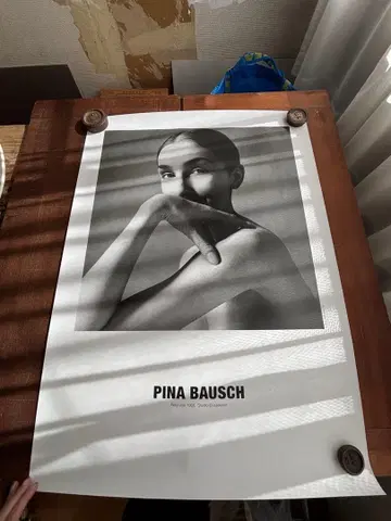 Pina Bausch 피나 바우슈 포스터 3