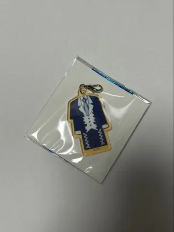 AVAM 의상 아크릴 참 1st 키쿄 하나카