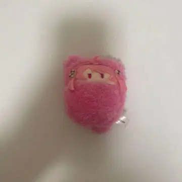 컬러풀피치 노아 쿠루피타 누이 2023 스티커