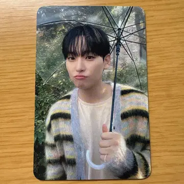 인성 산호 트레이딩 카드