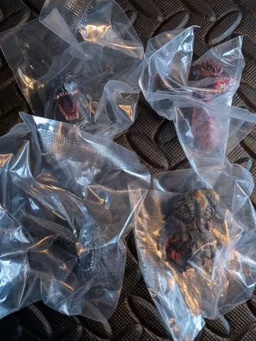 고질라 제일복권 헤드 마그넷 거친 존재 컴프