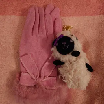 장갑 & 안나수이 그로브 홀더