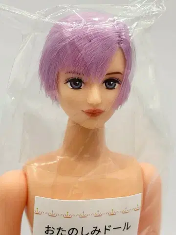 타쿠미 리카짱 캐슬 오타노시미 인형 담자색 계열 제니 프렌드