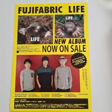 후지 패브릭 플라이어