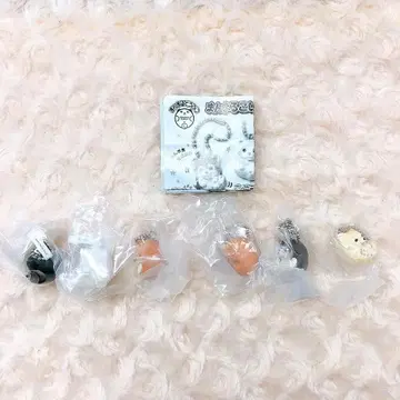 동글동글 동물 동글동글 강아지 마스코트 전 6종 풀컴프