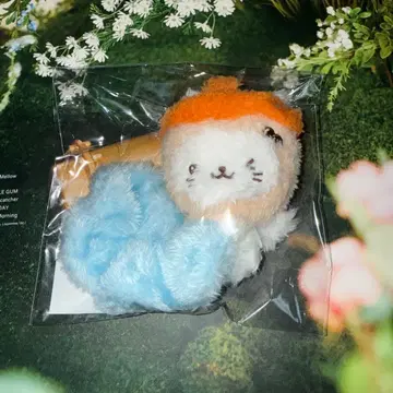 유우시 스크런치 버블냥 NCTWISH