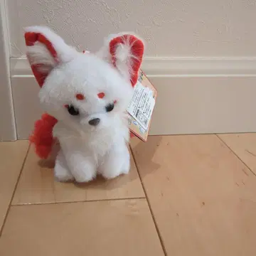 구미호 쵸콘과 여우 마스코트