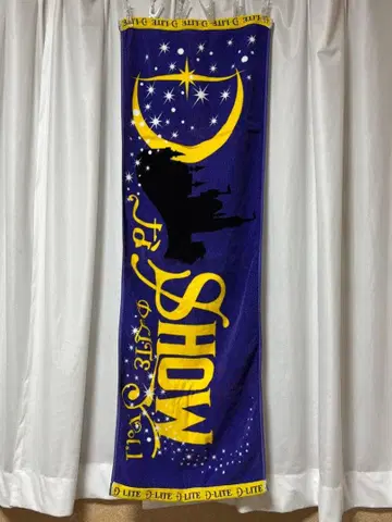 BIGBANG D-LITE 솔로 투어