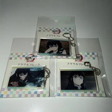 귀멸의 칼날 전 집중전 아크릴 플레이트 토키토 무이치로 토키토 유이치로