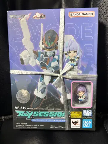 미개봉 새상품 VF-31S 지크프리드 with 미쿠모 긴누메일