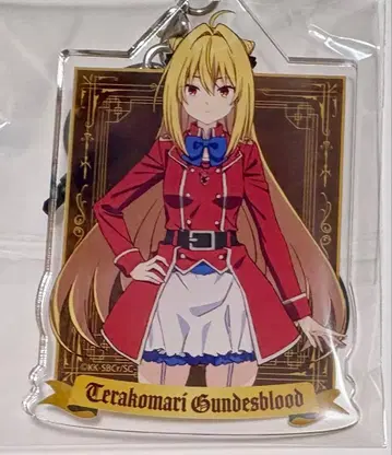 저주받은 마법사의 신부 아크릴 키링 테라코마리